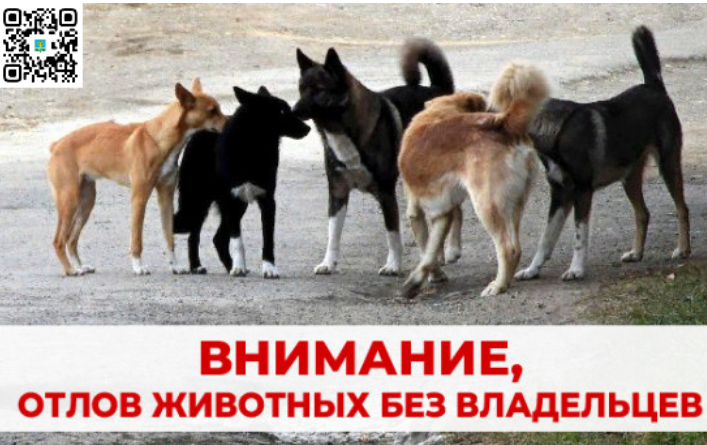 22 мая 2025 года на территориях Таврического городского поселения  будет проводится отлов безнадзорных животных..
